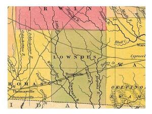 [Historical Map: Lowndes County and Troupville 1846]