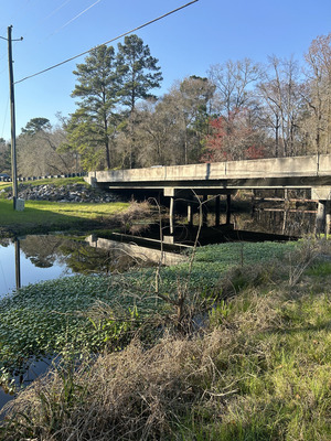 [Franks Creek @ GA 122, Withlacoochee River @ Frankinville Road 2024-02-21]