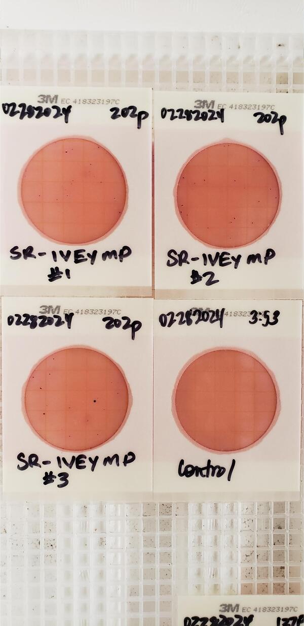 Plates, Ivey Memorial Park Ramp 2024-02-28