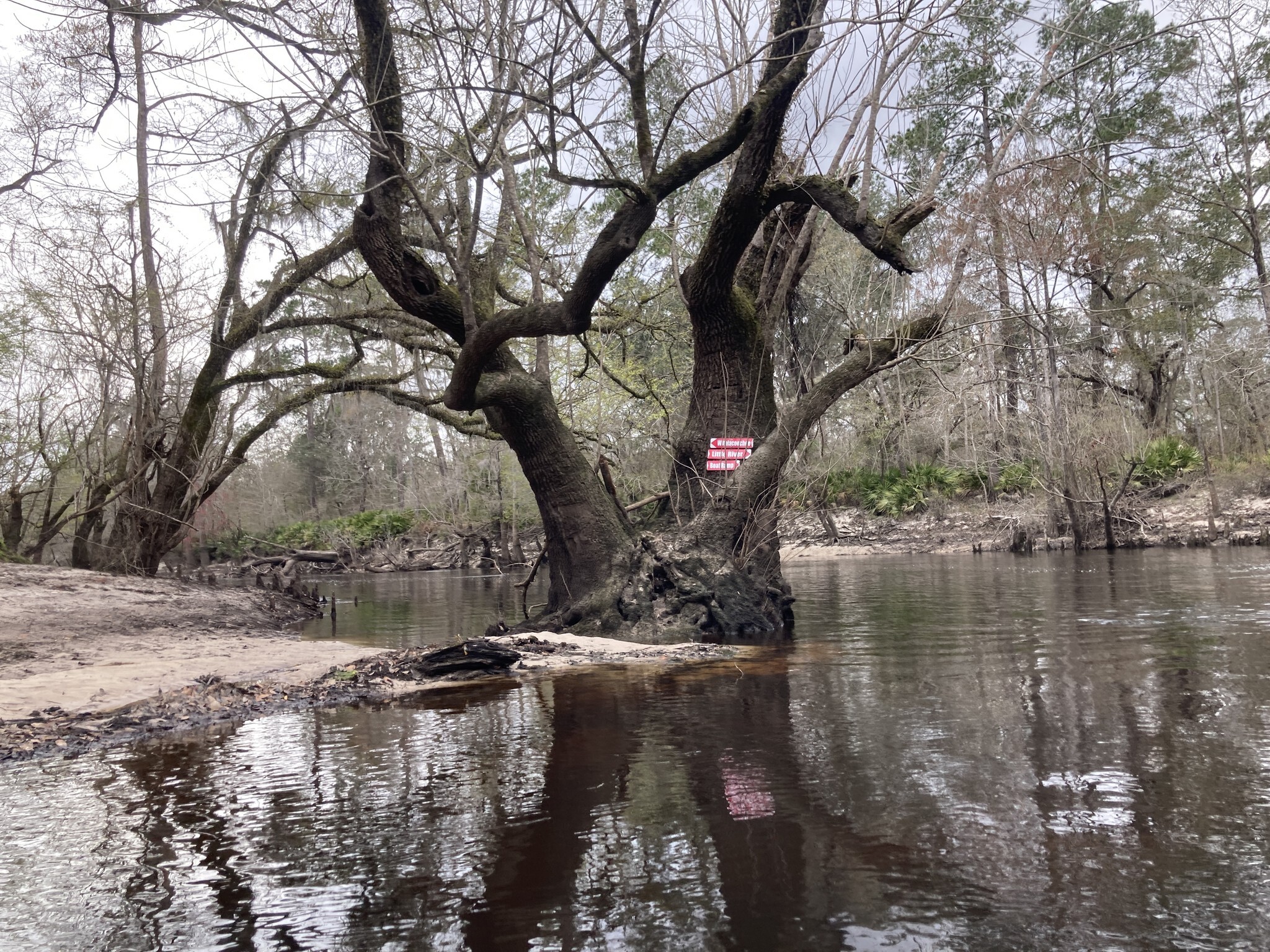 Phil Hubbard's Directional Signs at Little River Confluence --Gretchen Quarterman