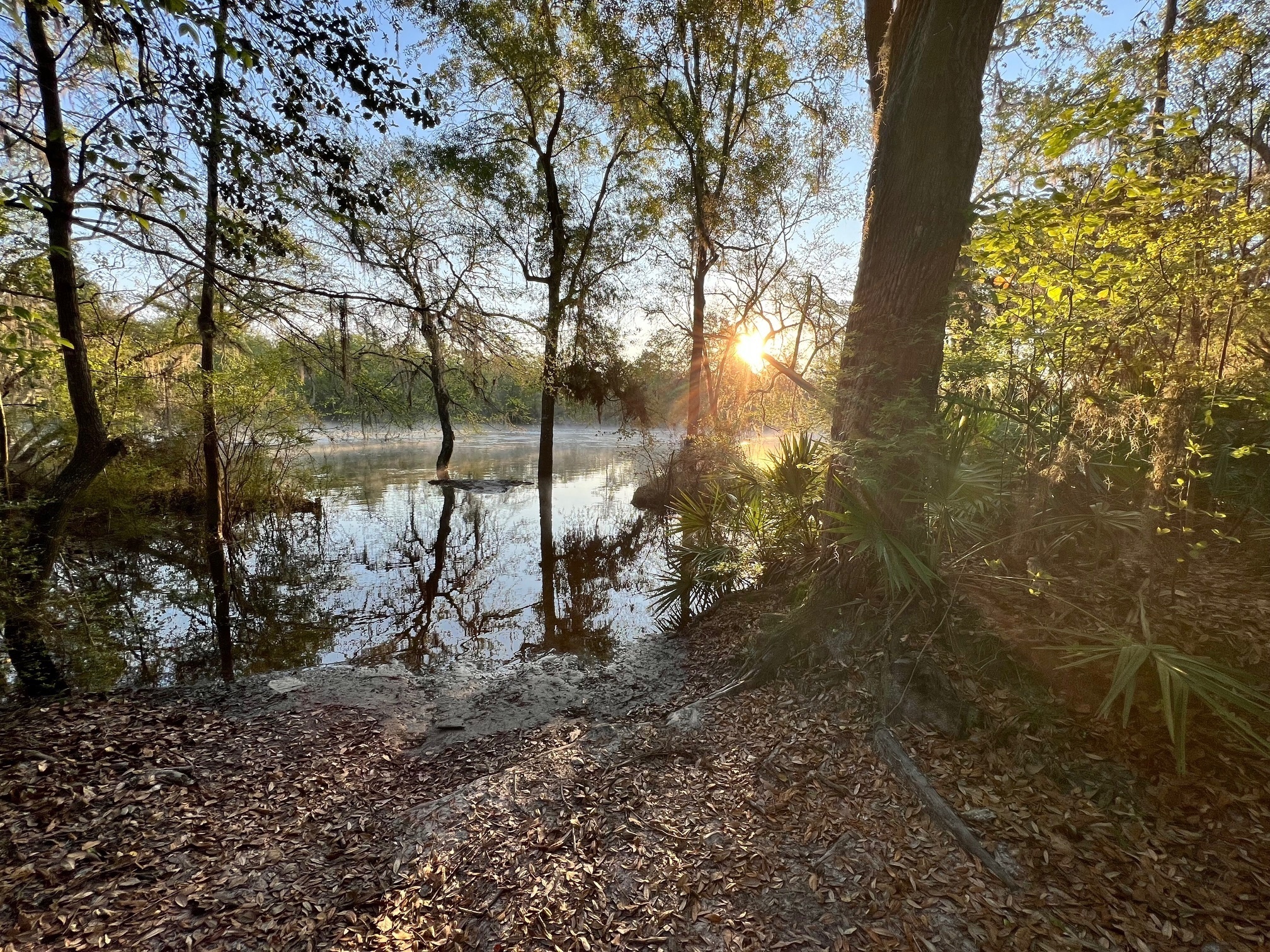 Naylor Park Beach other, Alapaha River @ US 84 2024-03-21