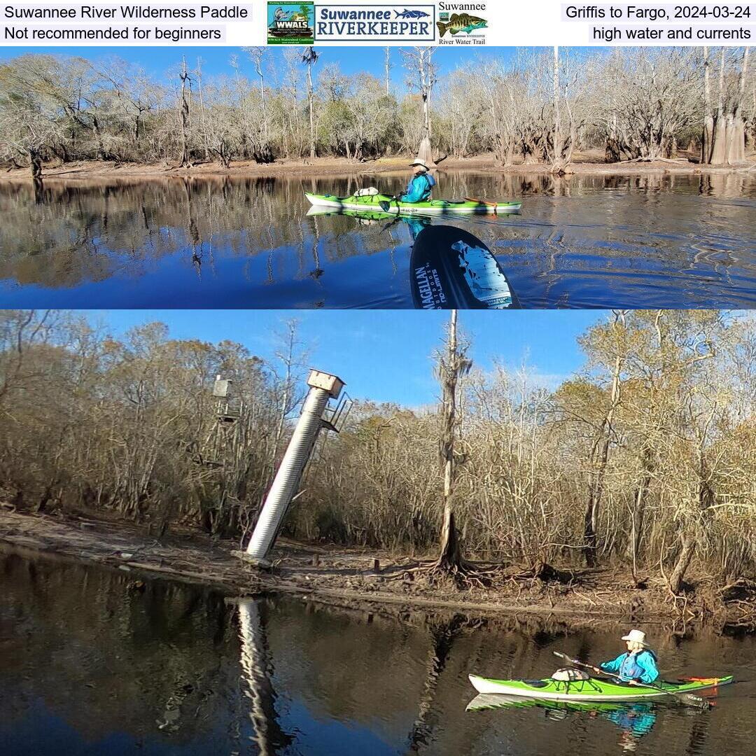 Suwannee River Wilderness Paddle, Griffis to Fargo, 2024-03-24