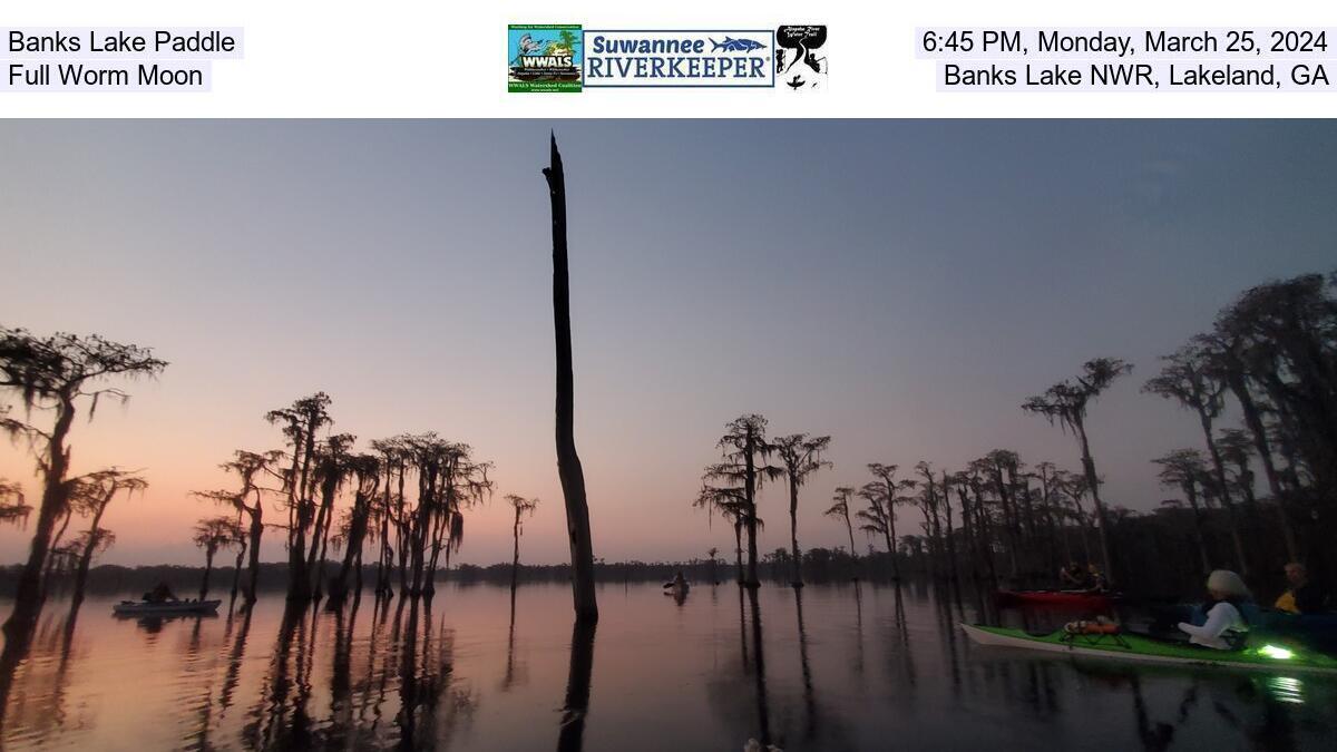 Banks Lake Paddle, 2024-03-25, Full Worm Moon, Banks Lake NWR, Lakeland, GA