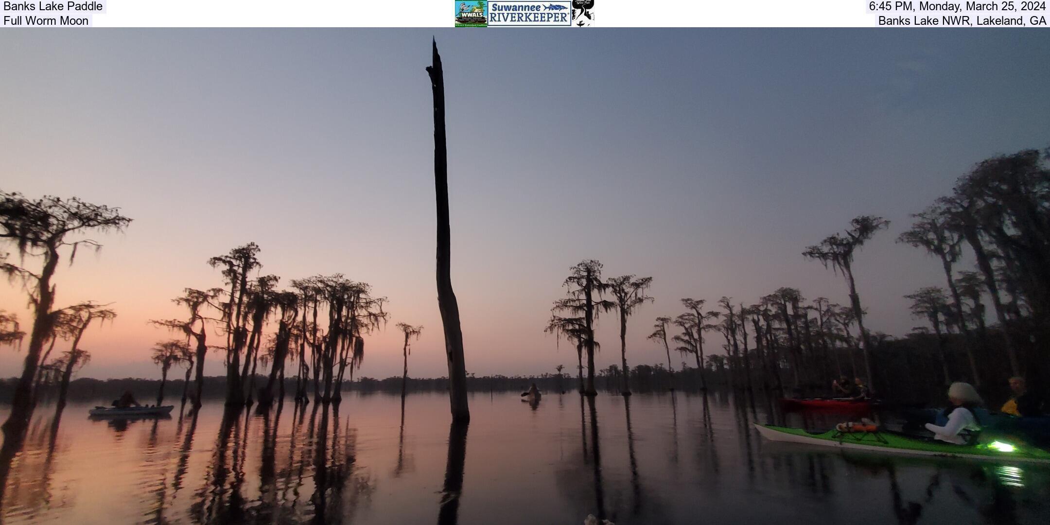 Banks Lake Paddle, 2024-03-25, Full Worm Moon, Banks Lake NWR, Lakeland, GA