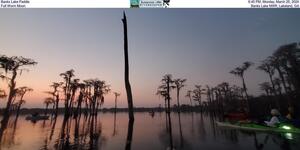 [Banks Lake Paddle, 2024-03-25, Full Worm Moon, Banks Lake NWR, Lakeland, GA]