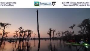 [Banks Lake Paddle, 2024-03-25, Full Worm Moon, Banks Lake NWR, Lakeland, GA]