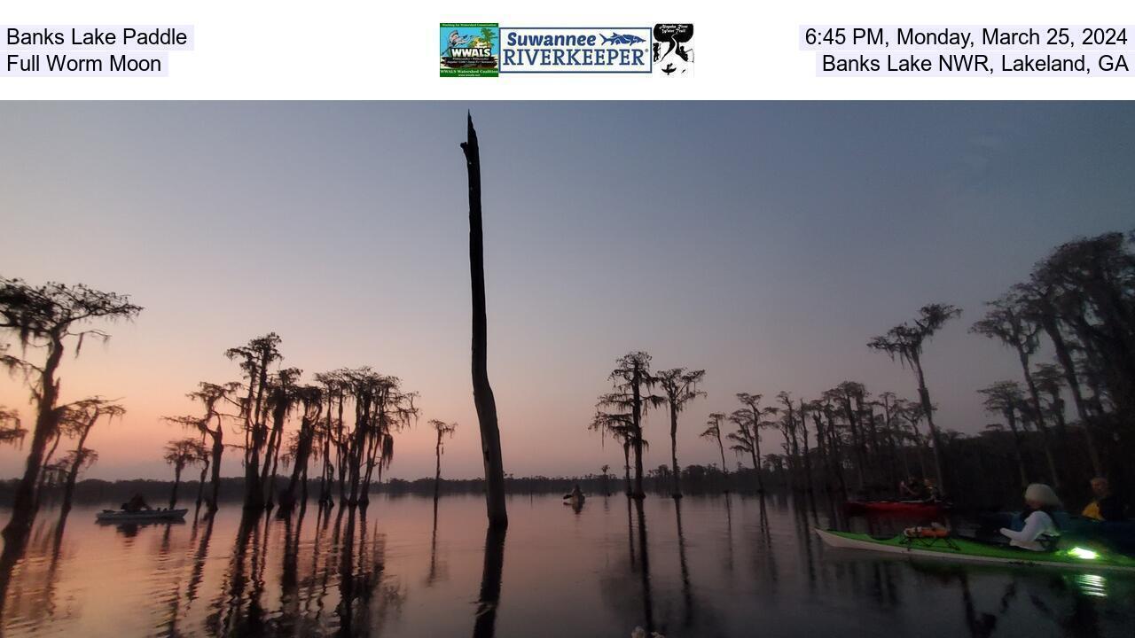 Banks Lake Paddle, 2024-03-25, Full Worm Moon, Banks Lake NWR, Lakeland, GA