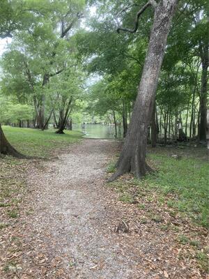 [Point Park other, Ichetucknee River @ SW Riverside Ave. 2024-03-26]