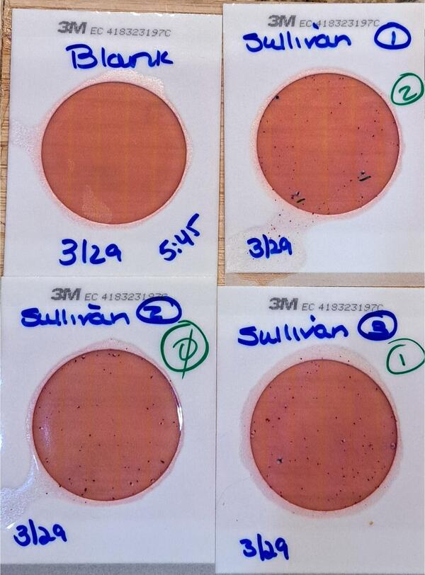 Plates, Sullivan Launch 2024-03-30