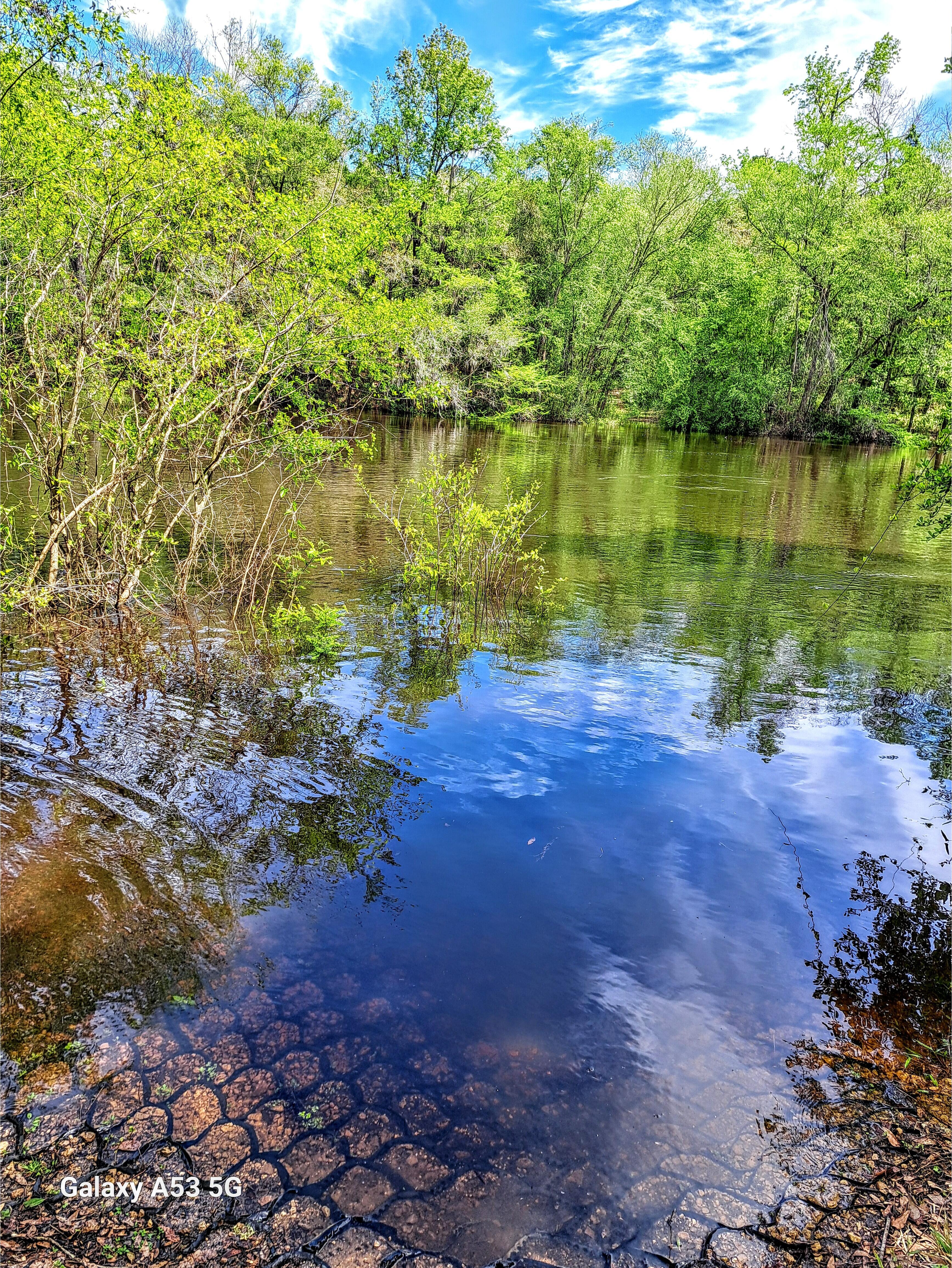 Sullivan Launch, Withlacoochee River @ CR 150 2024-03-30