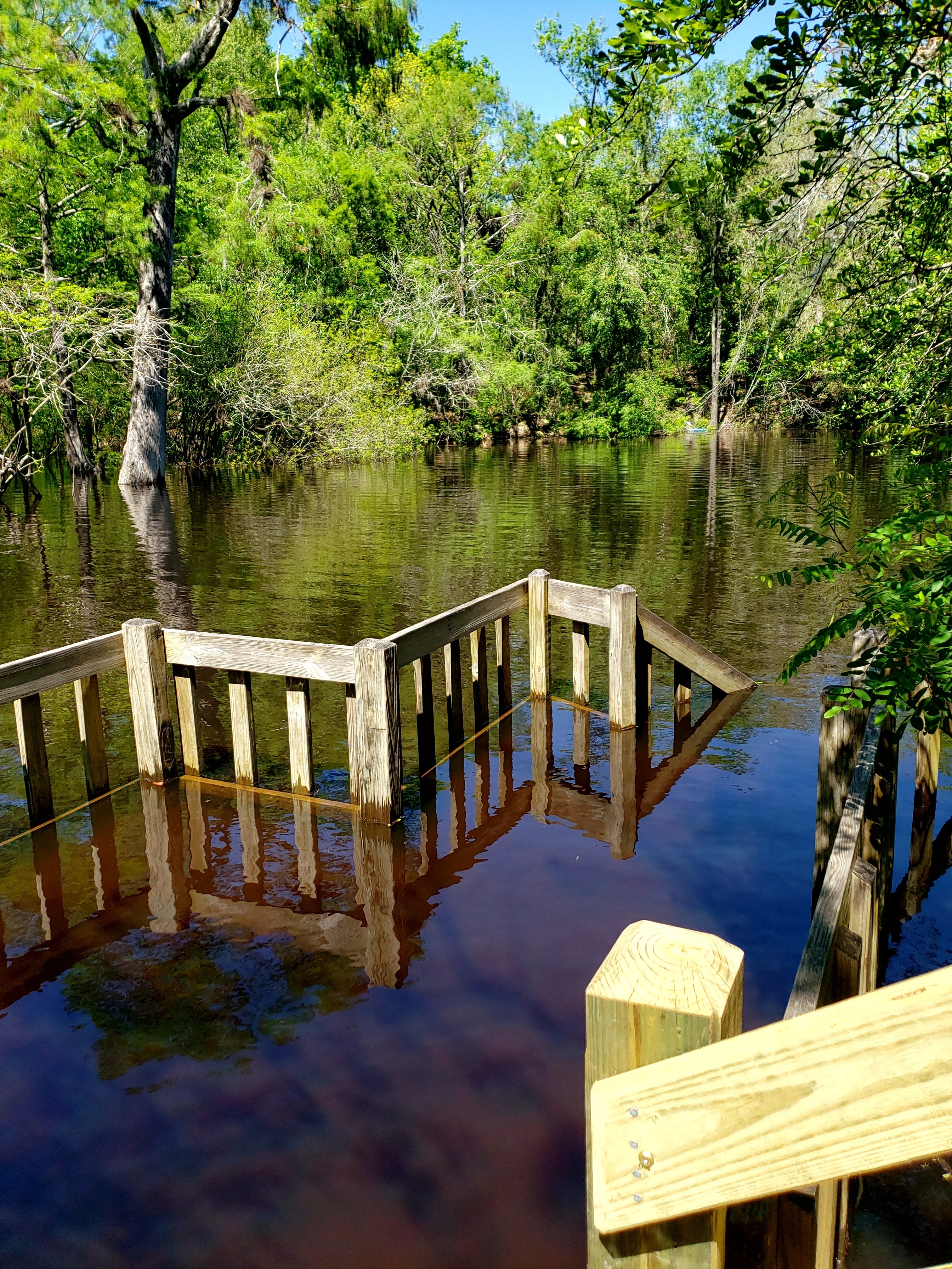 Underwater, Royal Springs Ramp, Suwannee River @ 157 Drive 2024-04-04