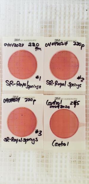 [Plates, Royal Springs Ramp 2024-04-04]