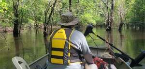 [Movie: Up the Withlacoochee River from the Little River Confluence, 15:29:40, 30.8462961, -83.3474578 (13M)]