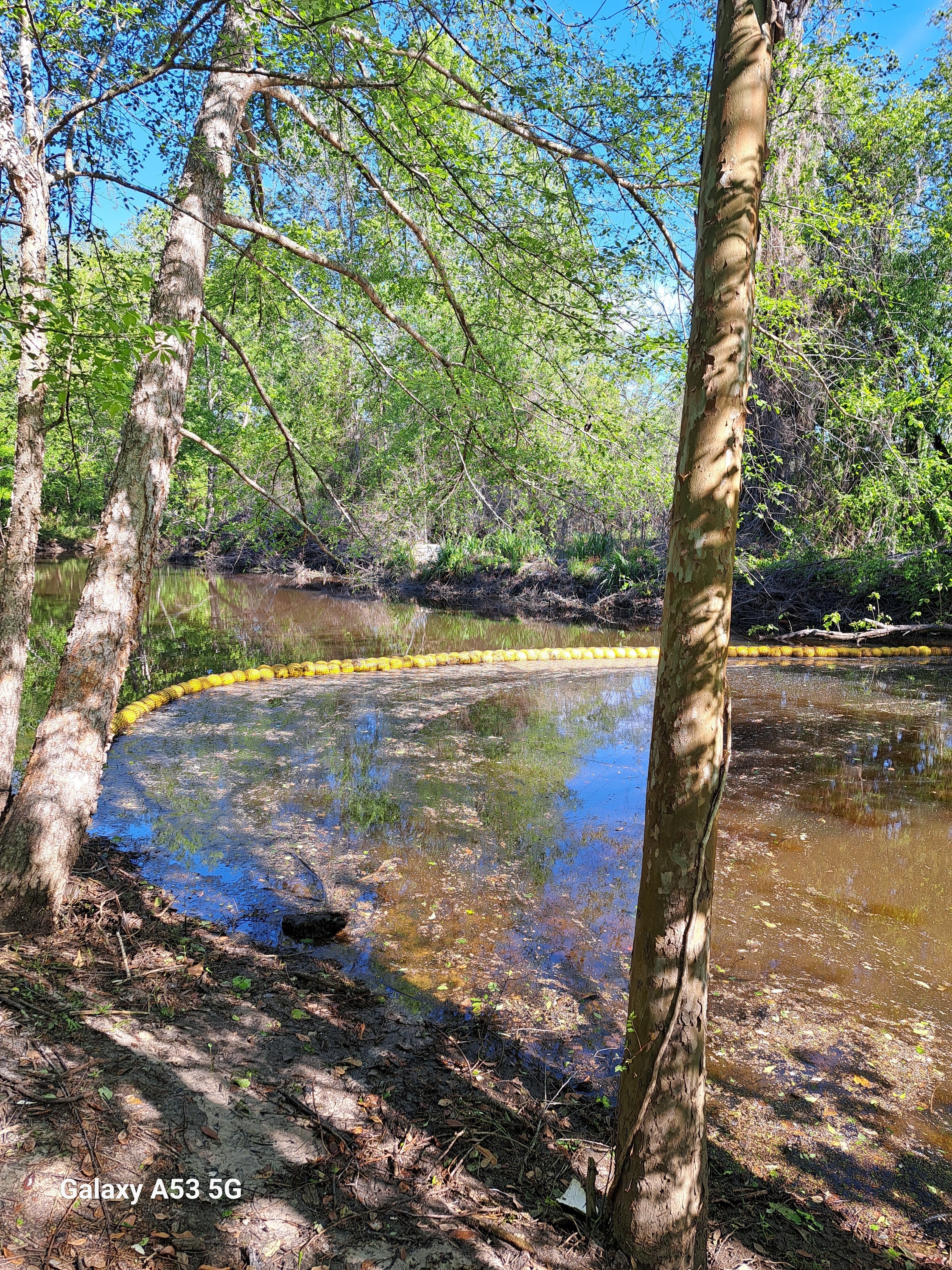 WaterGoat, Sugar Creek, Withlacoochee River @ Gornto Road 2024-04-07