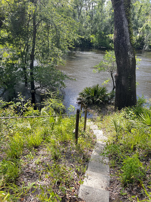 [Holly Point other, Withlacoochee River @ NE Withla Bluffs Way 2024-04-10]