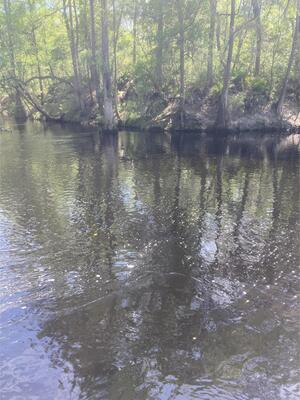 [O'Leno Dock other, Santa Fe River @ O'Leno Park Road 2024-04-10]