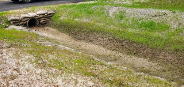 Street ditch, Candleglow Trail, Little River 2024-04-16, 16:05:28, 30.8612115, -83.3629708