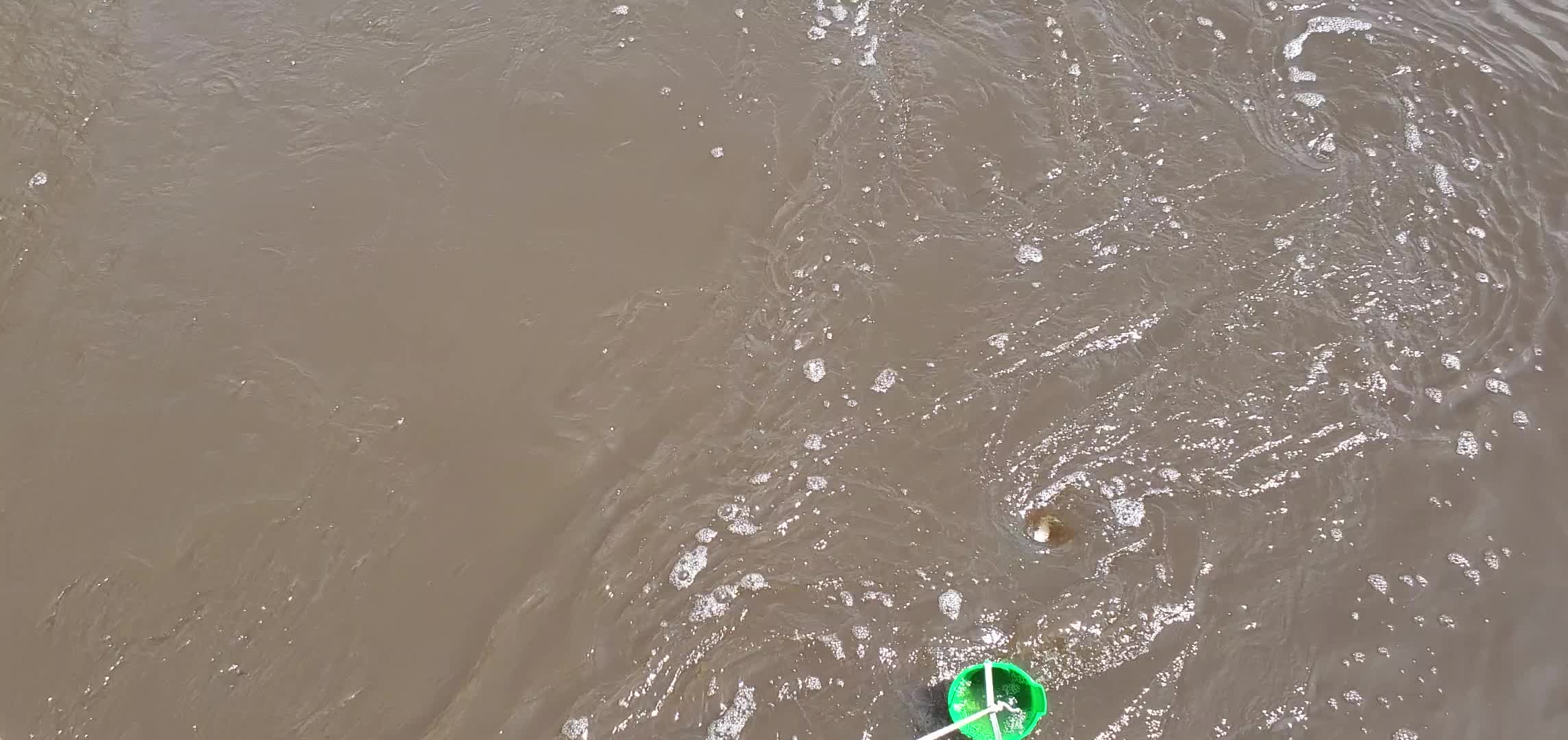 Movie: Sample bucket in water, Clyattville-Nankin Road Bridge, 15:22:31, (51M), Withlacoochee River 2024-04-16, 30.674889, -83.394397