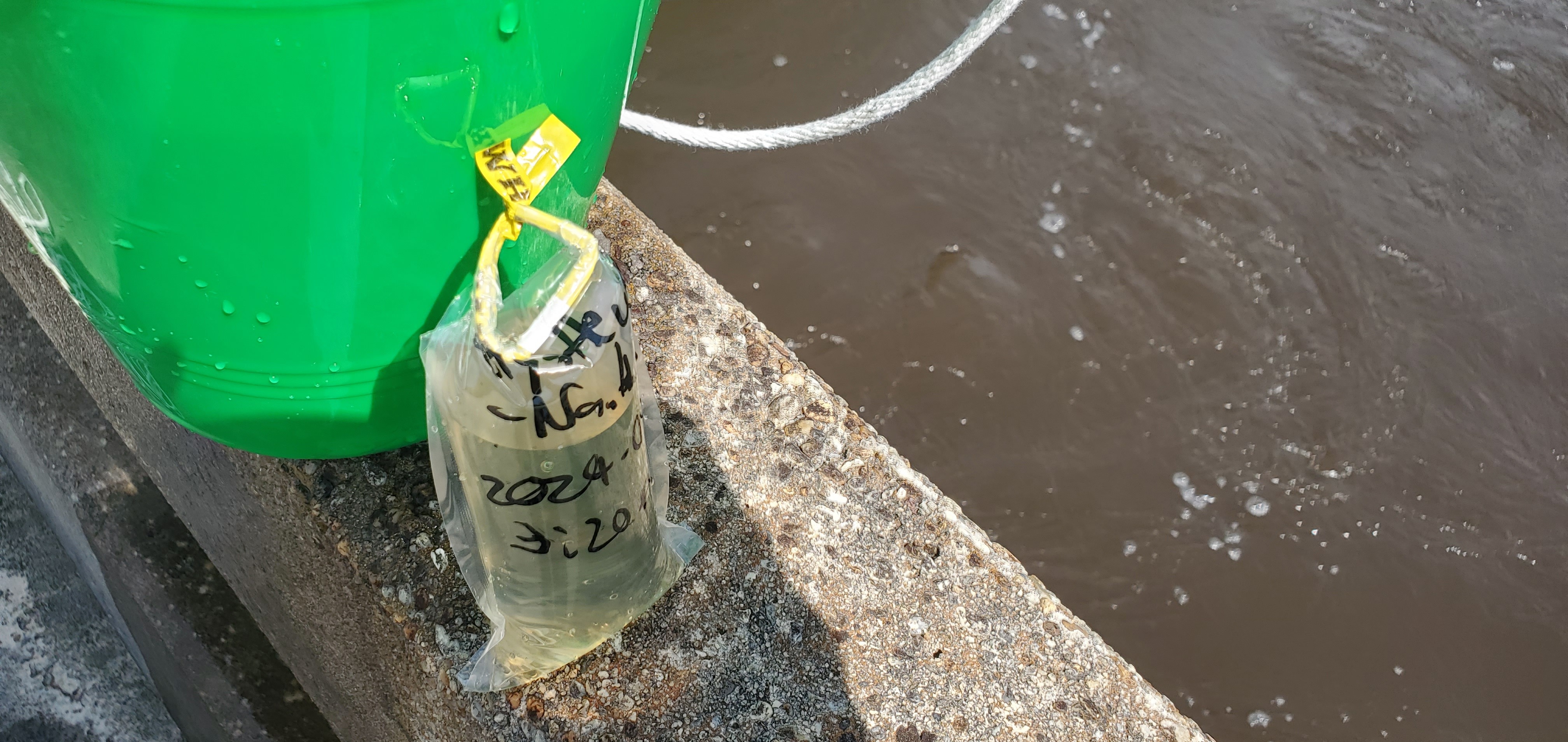 Water quality sample, Clyattville-Nankin Road Bridge, Withlacoochee River 2024-04-16, 15:24:38, 30.6749713, -83.3944252