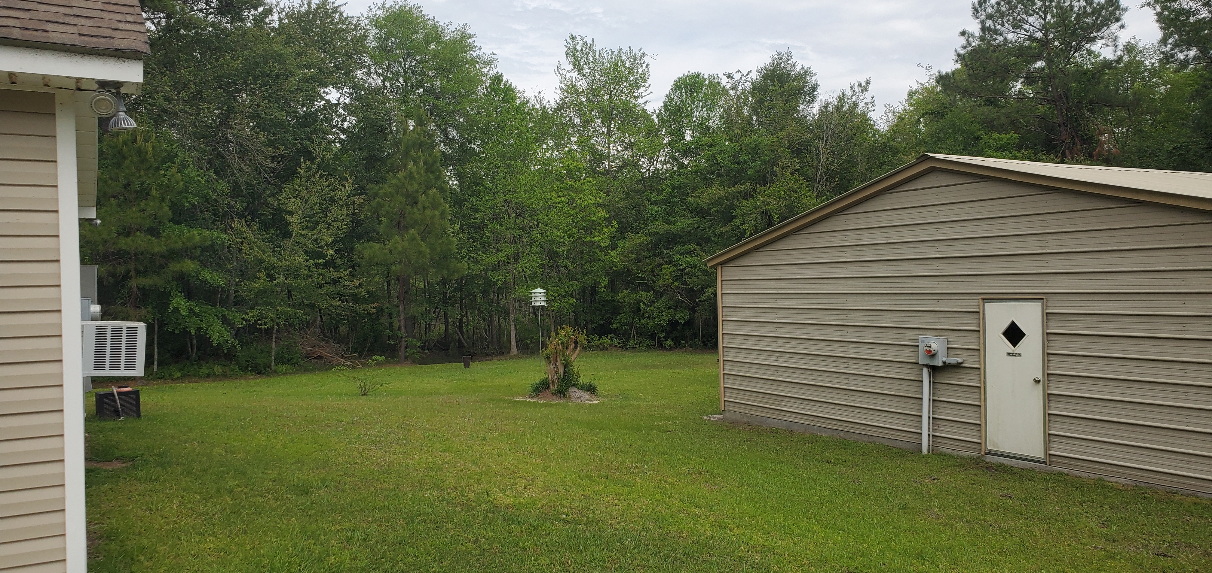 Back yard, water was up to shop, Candleglow Trail, Little River 2024-04-16, 15:58:45, 30.8616270, -83.3631410