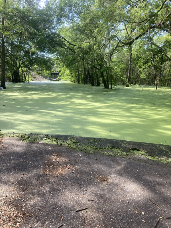 [William Guy Lemmons Memorial Park Ramp, Santa Fe River @ US 129 2024-04-16]