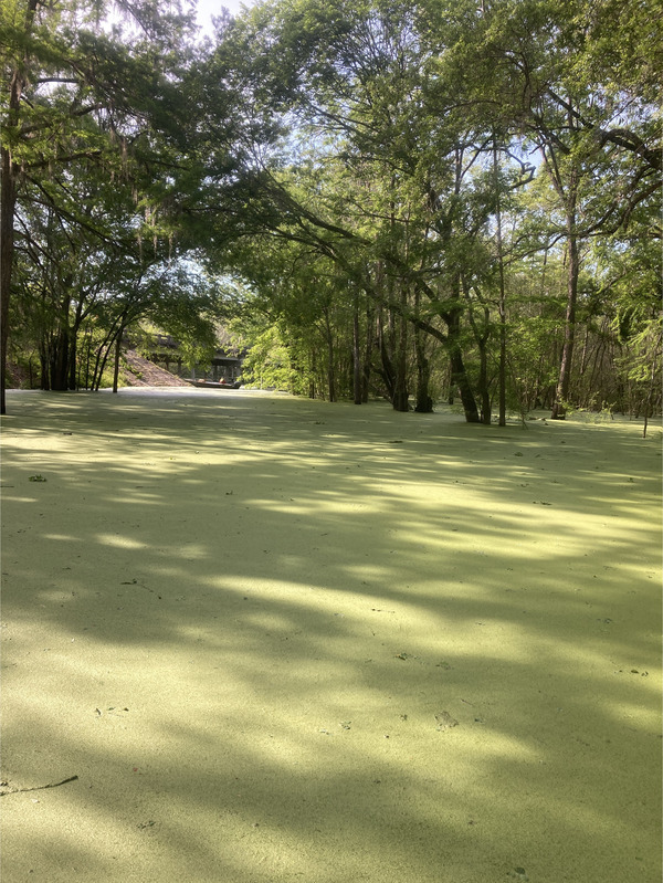 William Guy Lemmons Memorial Park Ramp other, Santa Fe River @ US 129 2024-04-16