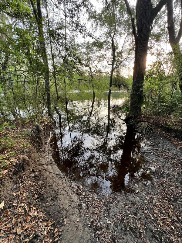 Naylor Park Beach, Alapaha River @ US 84, 2024-04-17