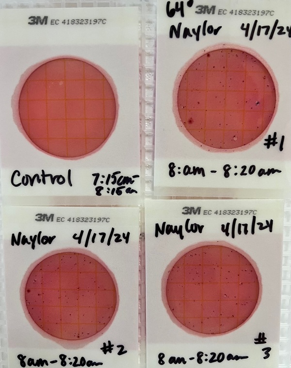 [Plates, Naylor Park Beach, Alapaha River @ US 84, 2024-04-17]