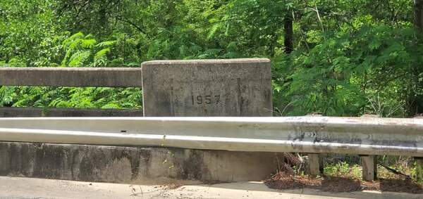 Movie: Water close under the bridge Clyattville-Nankin Boat Ramp, Withlacoochee River, 2024-04-16, 15:19:48, (59M), 30.675155, -83.394070