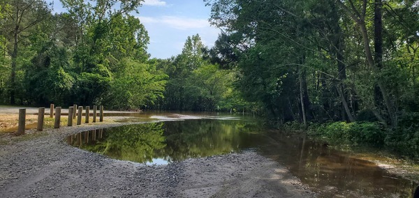 [Parking lot, Troupville Boat Ramp, Little River 2024-04-16, 16:54:06, 30.8518057, -83.3467129]