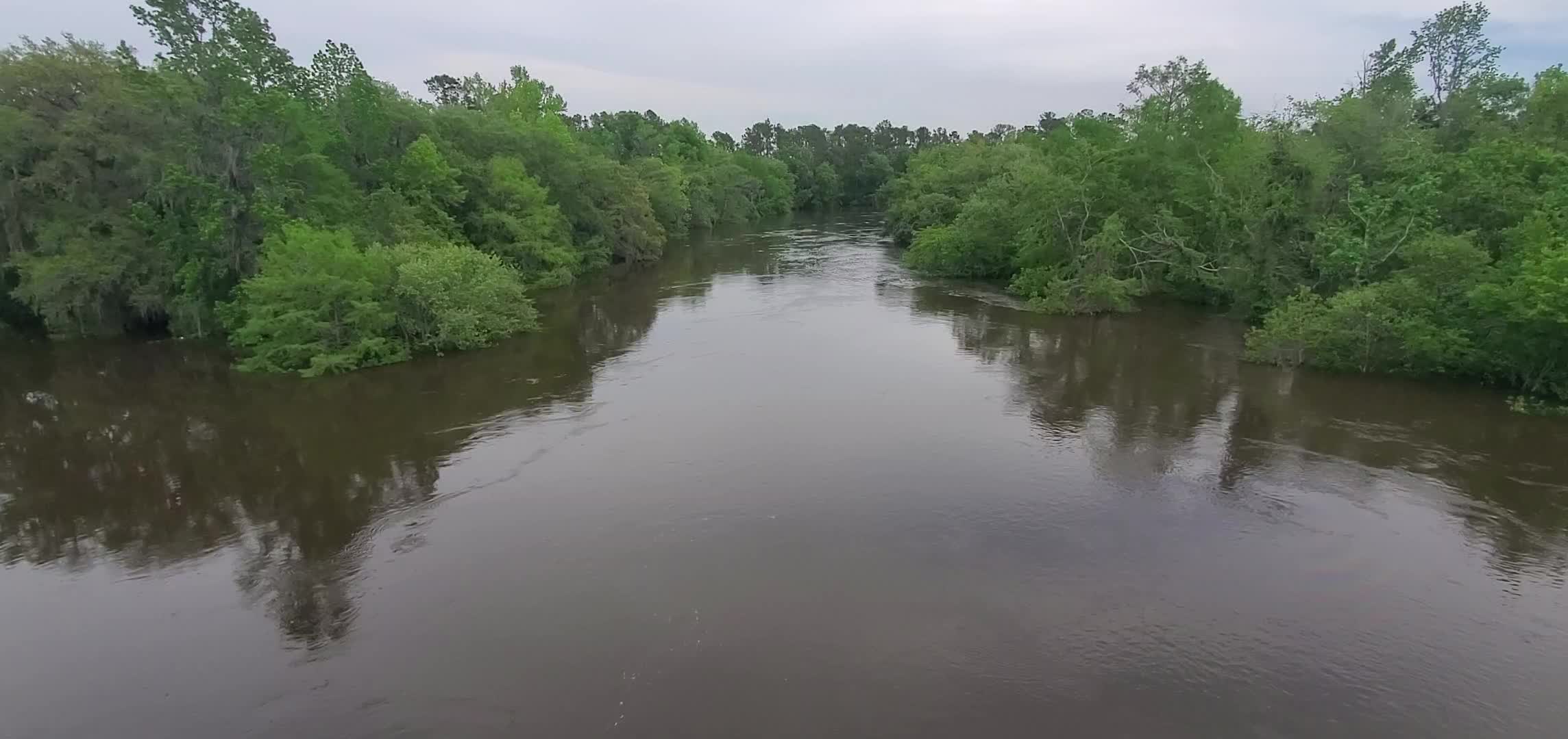 Movie: Fast flow in the middle of Horn Bridge, State Line Boat Ramp, Withlacoochee River, 2024-04-16, 14:41:40, (74M), Withlacoochee River, 2024-04-16, 30.635440, -83.311527