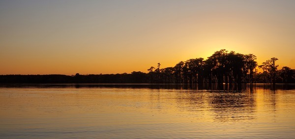 Sunset closeup