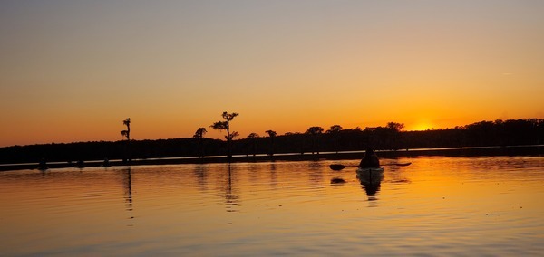 Boats in the sunset