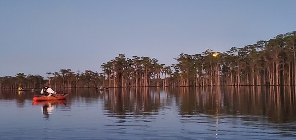 [Full moon clearing the cypress trees]