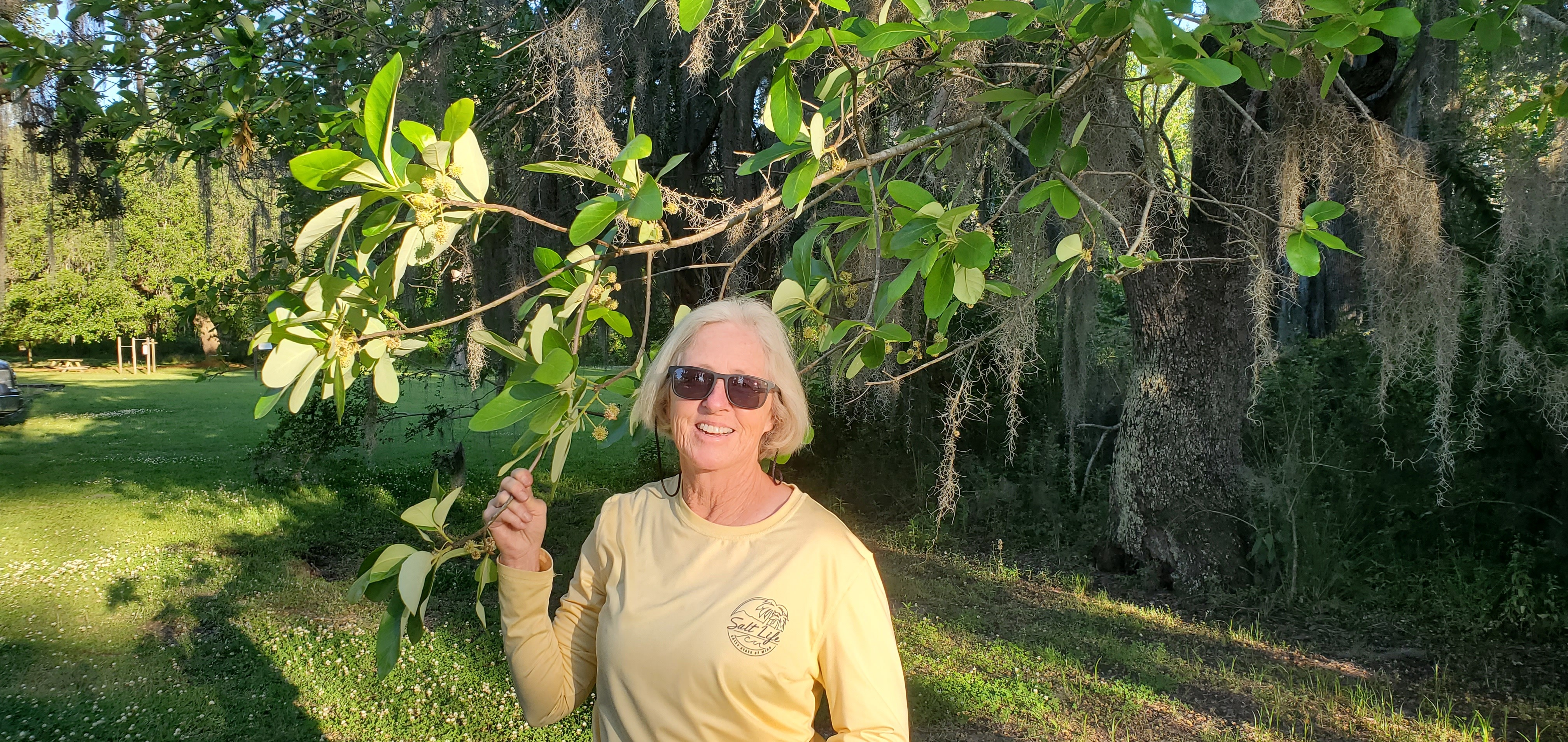 Shirley Kokidko and tupelo blooms