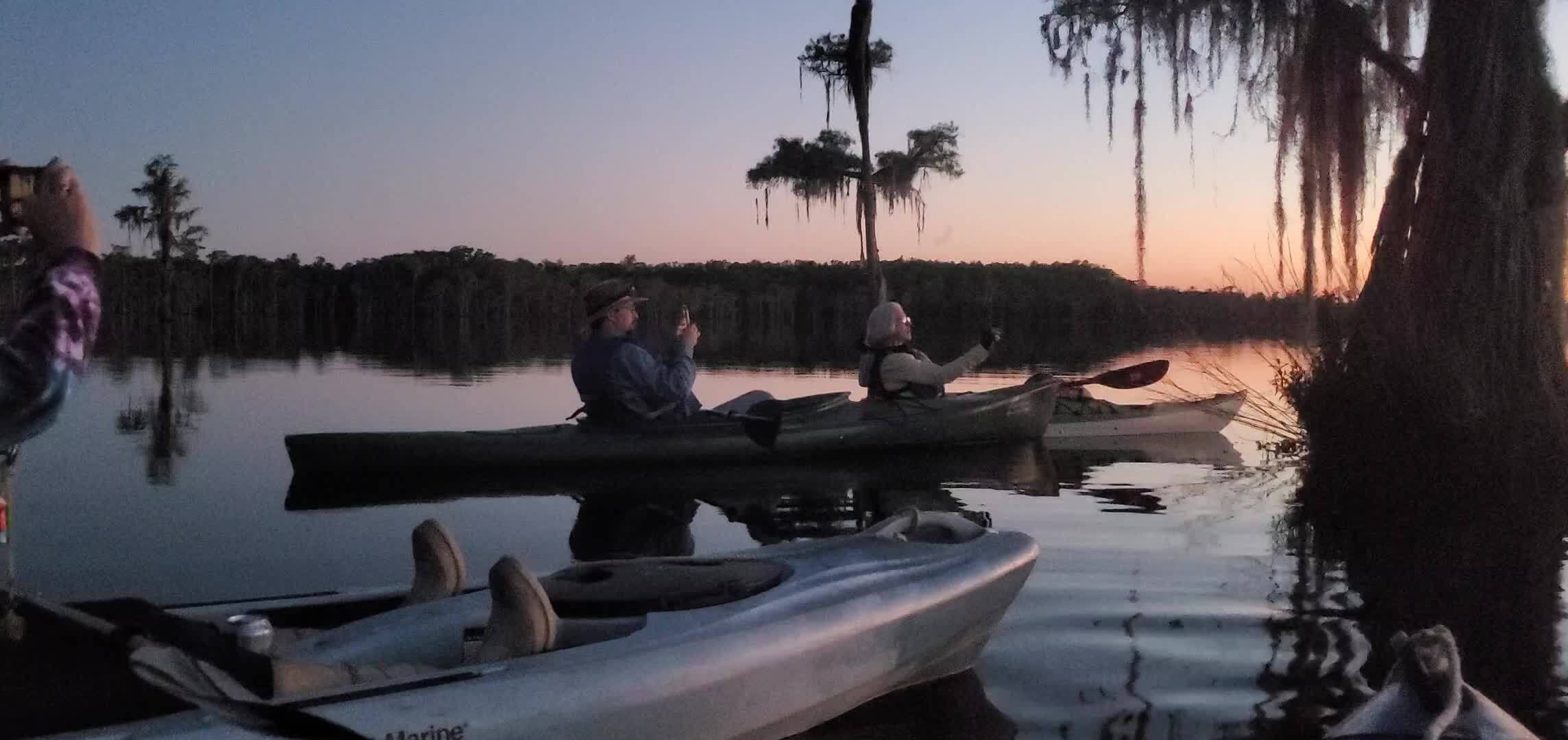 Movie: Bats echolocate, and don't run into Chris and Shirley (50M)