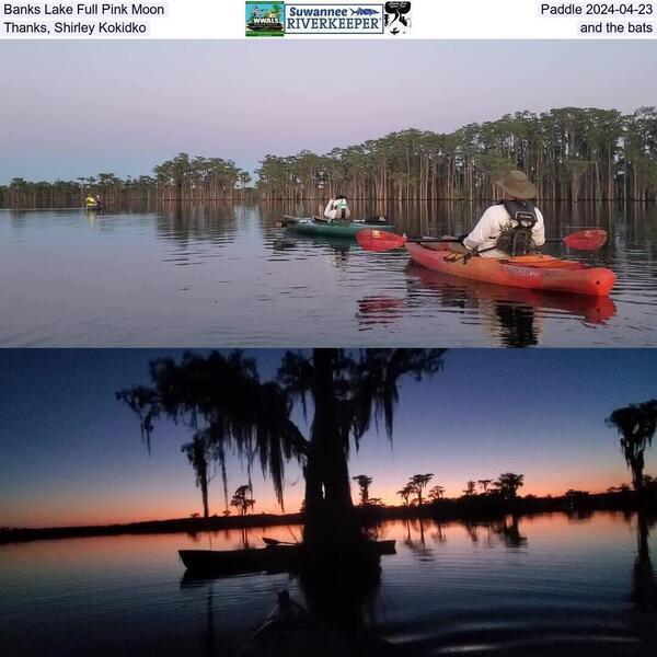 Banks Lake Full Pink Moon, Paddle 2024-04-23, Thanks, Shirley Kokidko, and the bats