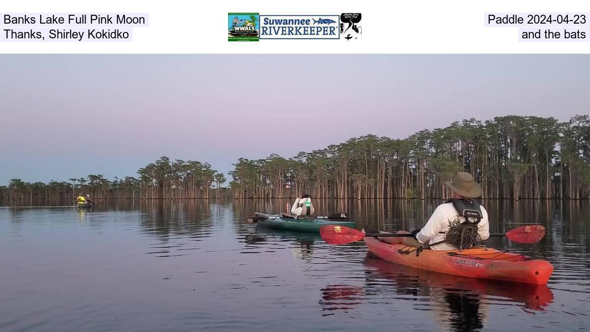 Banks Lake Full Pink Moon, Paddle 2024-04-23, Thanks, Shirley Kokidko, and the bats