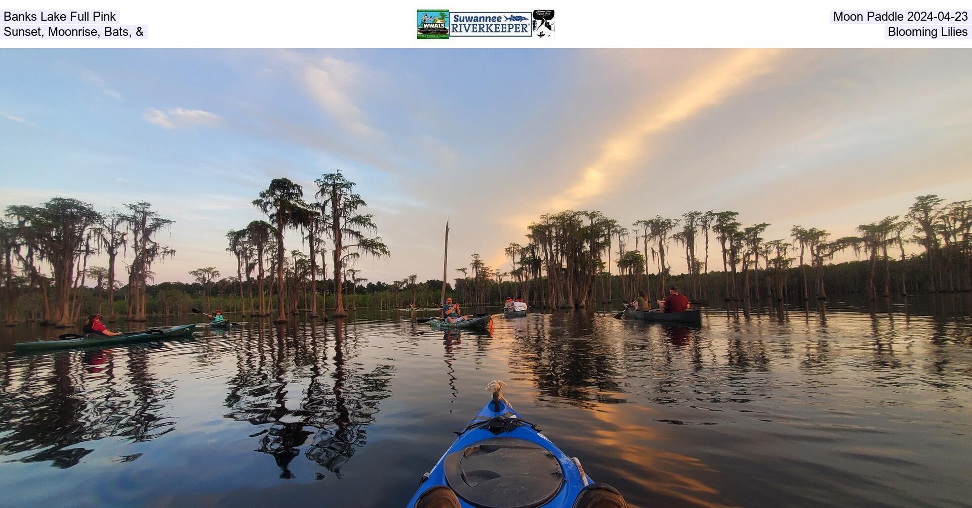 [Banks Lake Full Pink, Moon Paddle 2024-04-23, Sunset, Moonrise, Bats, and Blooming Lilies]