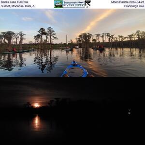 [Banks Lake Full Pink, Moon Paddle 2024-04-23, Sunset, Moonrise, Bats, and Blooming Lilies]