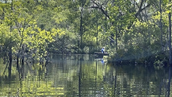 Heading upstream --Shirley Kokidko, 30.6820444, -82.5598