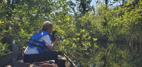 Long lens for blooming tupelo, Renee Bodine, FWS photographer, 11:17:39, 30.6947299, -82.5529122