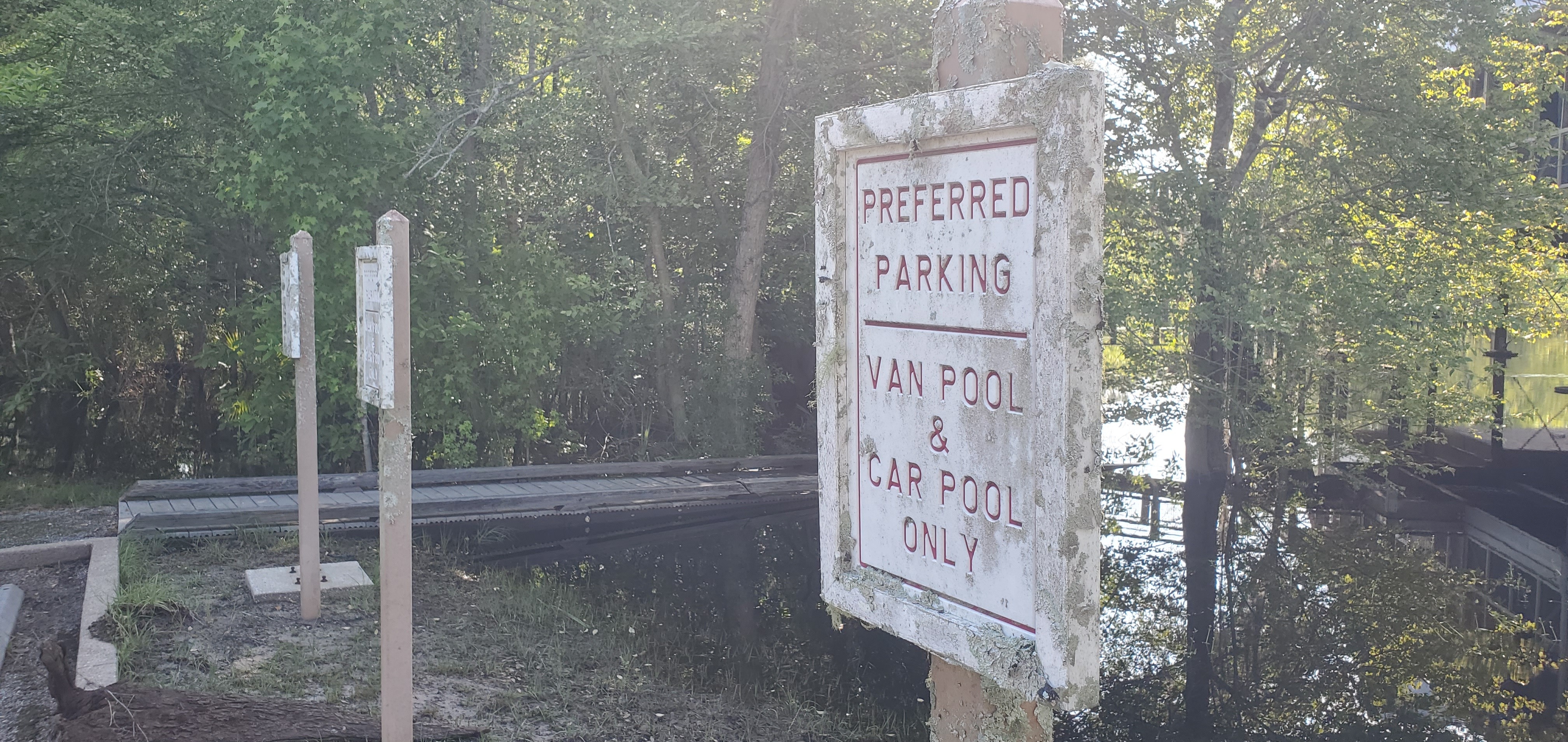 Lichen on parking sign, 09:34:07, 30.6825403, -82.5606227