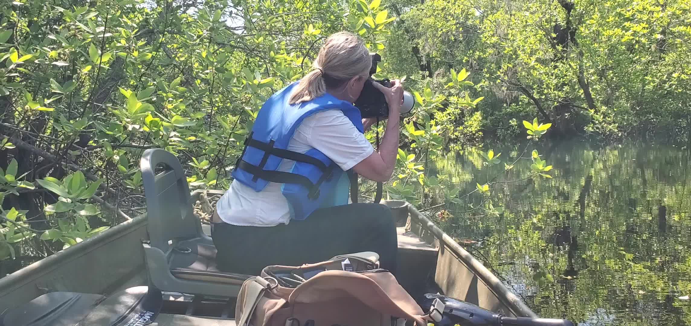 Movie: Renee Bodine photographing tupelo blossoms on the Suwannee River, 11:17:39, 30.6947299, -82.5529122 (39M)