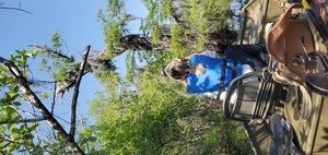 [Twisty tree and Renee Bodine, FWS photographer, 11:13:33, 30.6945690, -82.5529180]