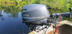 [Movie: Thanks to Wild Green Future for the 25hp outboard motor, 30.6947299, -82.5529122 (24M)]