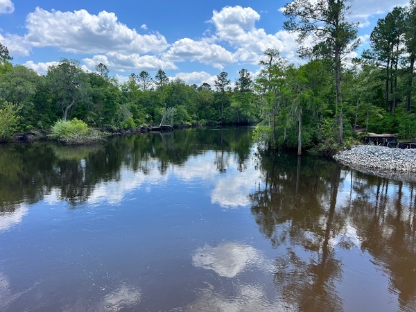 Downstream, Lakeland Boat Ramp, Alapaha River @ GA 122 2024-04-24