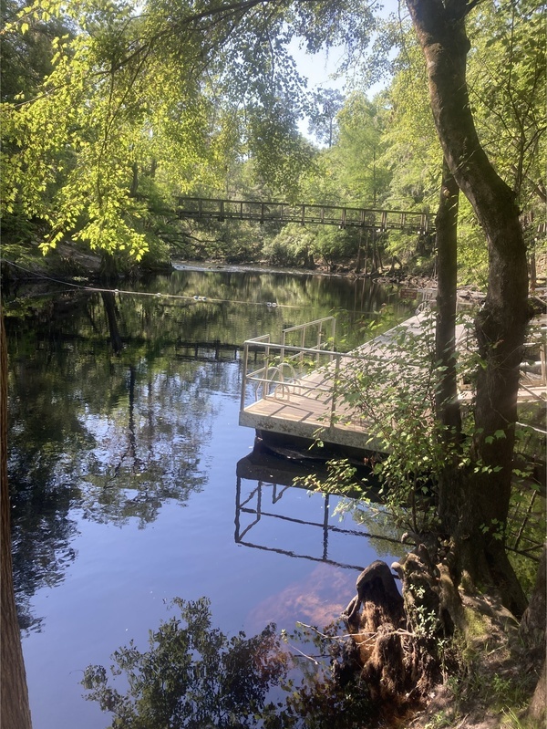 [O'Leno Dock, Santa Fe River @ O'Leno Park Road 2024-04-24]