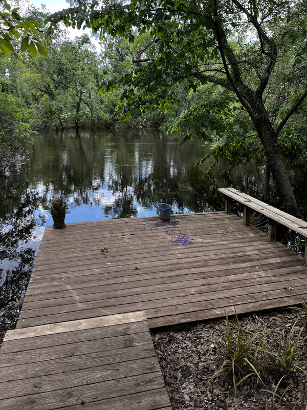 [Holly Point, Withlacoochee River @ NE Withla Bluffs Way 2024-04-25]