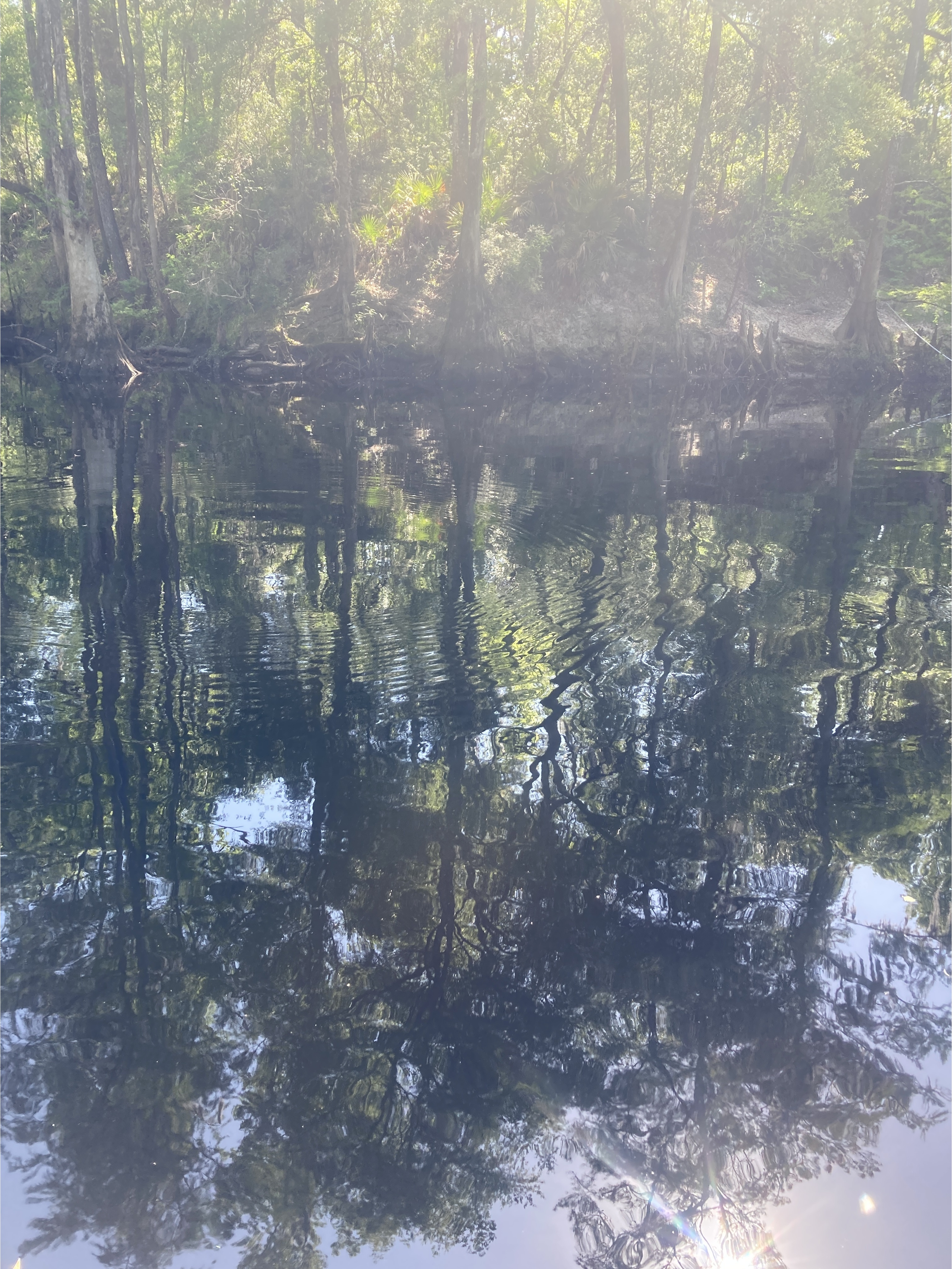 River, O'Leno Dock, Santa Fe River @ O'Leno Park Road 2024-04-24